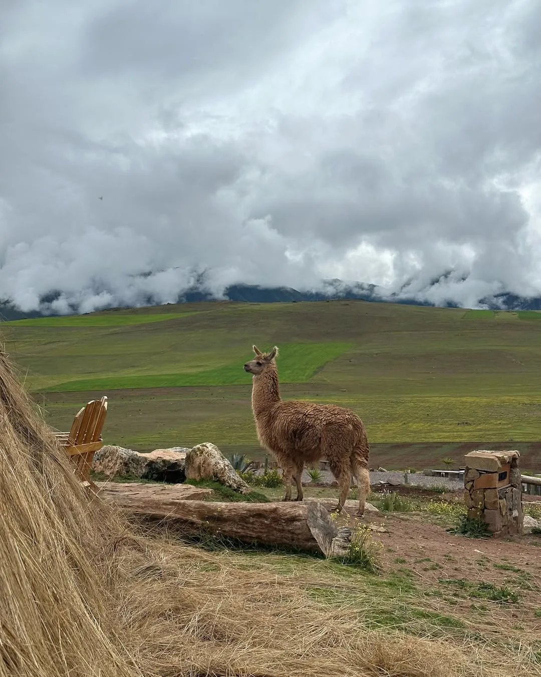 maras moray